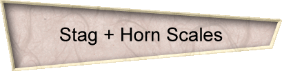Stag Scales
